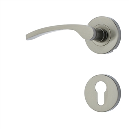 M7F50 - Euro Profile Aristata  Rose